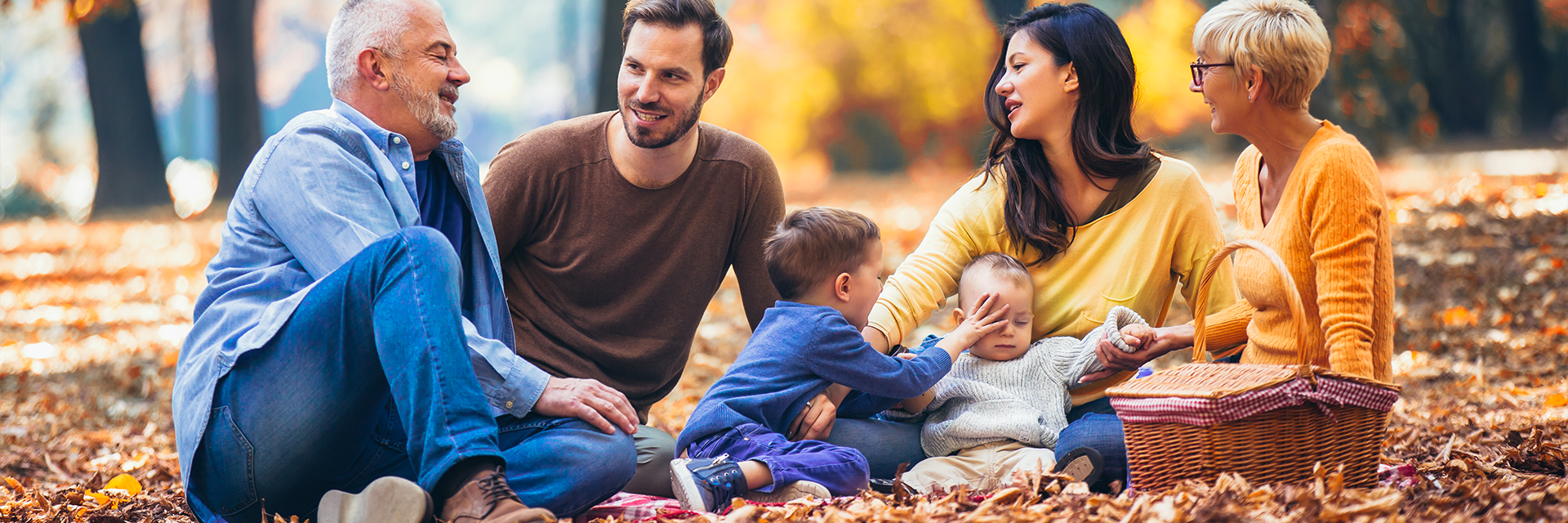 L'asssociation des Matte d'Amérique