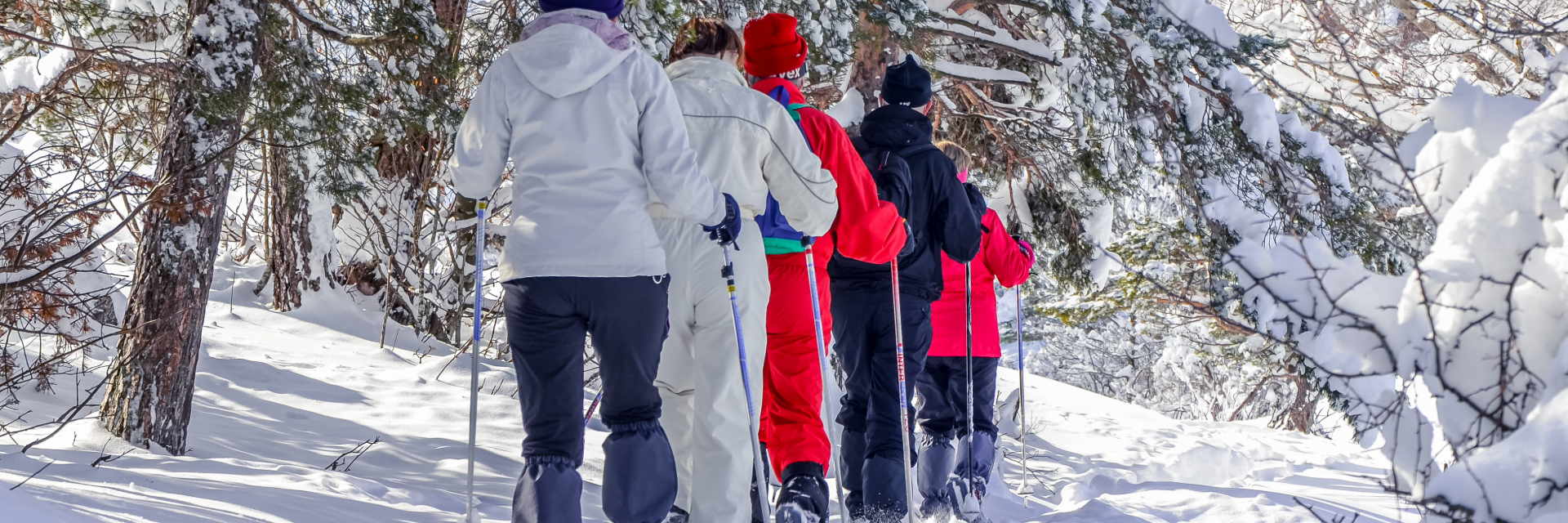 L'asssociation des Matte d'Amérique